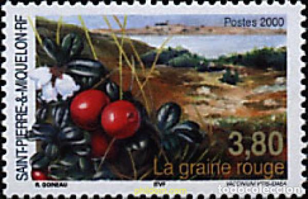 Sellos: 70011 MNH SAN PEDRO Y MIQUELON 2000 FLORA