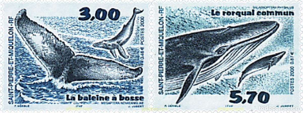 Sellos: 70010 MNH SAN PEDRO Y MIQUELON 2000 CETACEOS