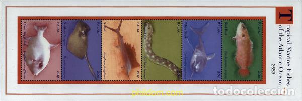 Sellos: 569715 MNH PALAU 2000 FAUNA MARINA