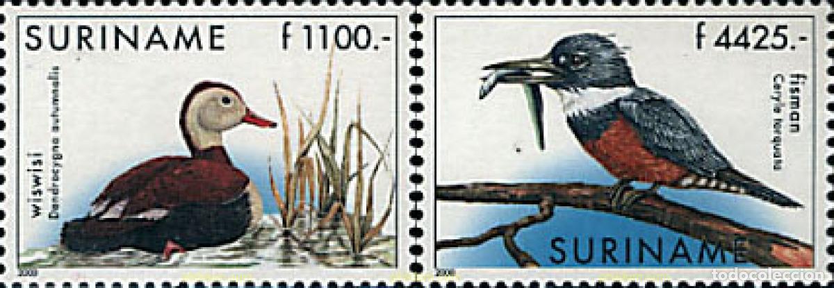 Sellos: 91287 MNH SURINAM 2000 AVES