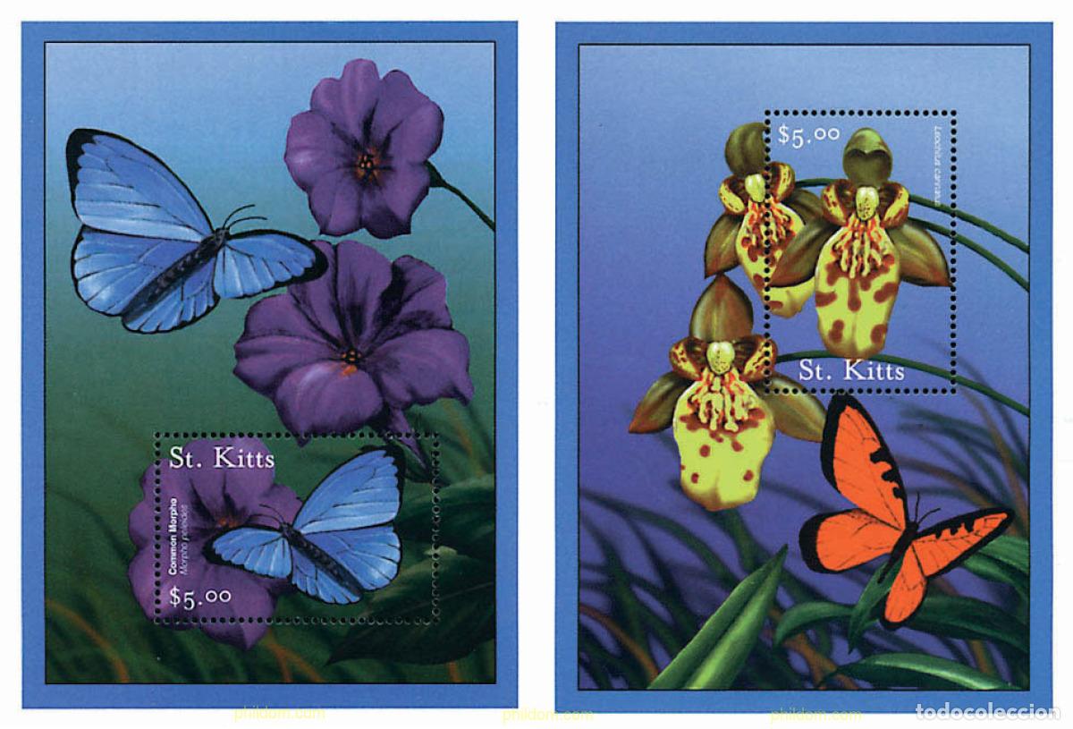 Sellos: 249566 MNH SAN KITTS 2001 FAUNA Y FLORA DEL CARIBE