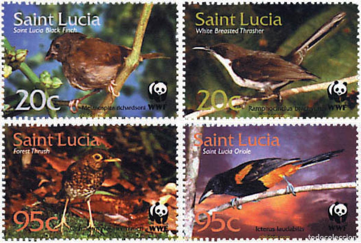 Sellos: 74245 MNH SANTA LUCIA 2001 PAJAROS DE SANTA LUCIA