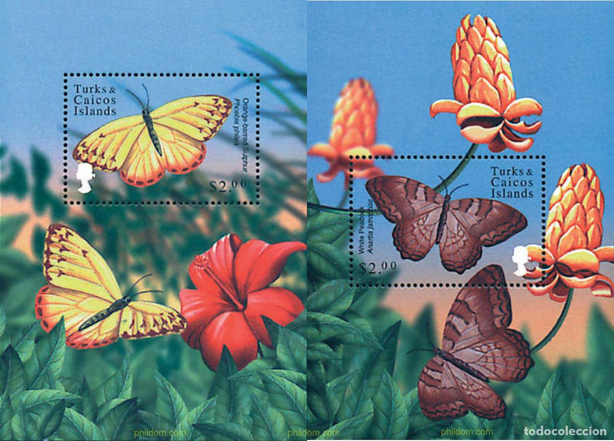 Sellos: 95173 MNH TURKS Y CAICOS 2000 MARIPOSAS