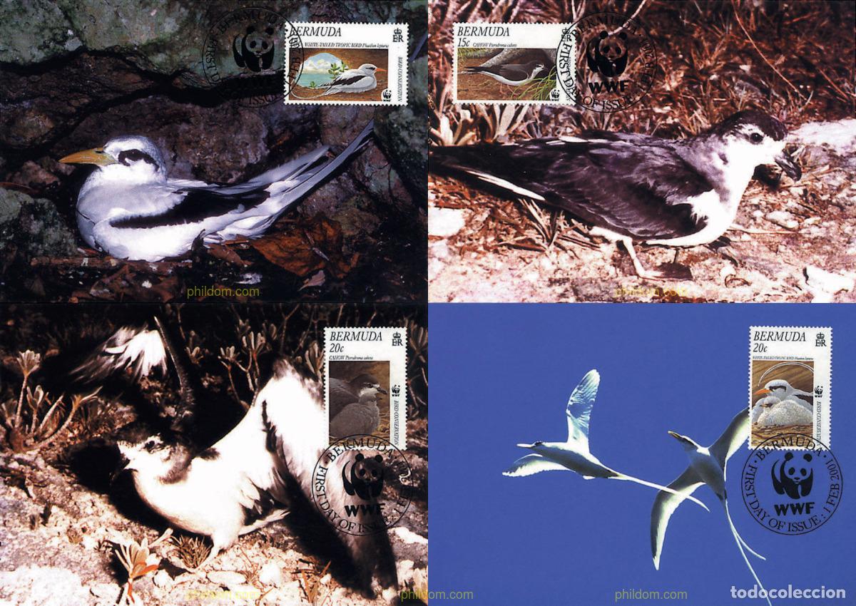Sellos: 7496 MNH BERMUDAS 2001 AVE DEL TROPICO DE COLA BLANCA, PETREL CAHOW