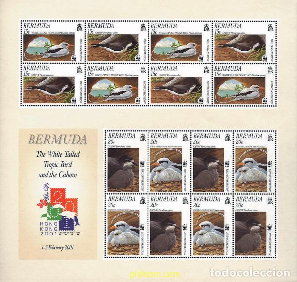 Sellos: 12713 MNH BERMUDAS 2001 AVE DEL TROPICO DE COLA BLANCA, PETREL CAHOW