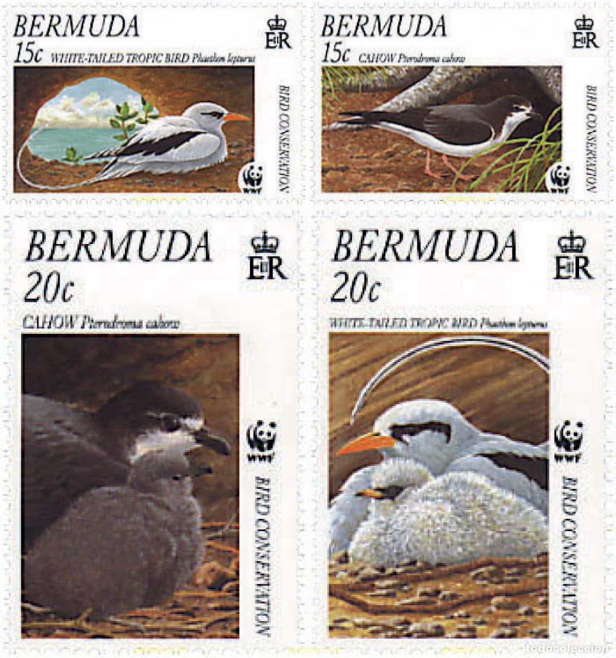 Sellos: 75004 MNH BERMUDAS 2001 AVE DEL TROPICO DE COLA BLANCA, PETREL CAHOW