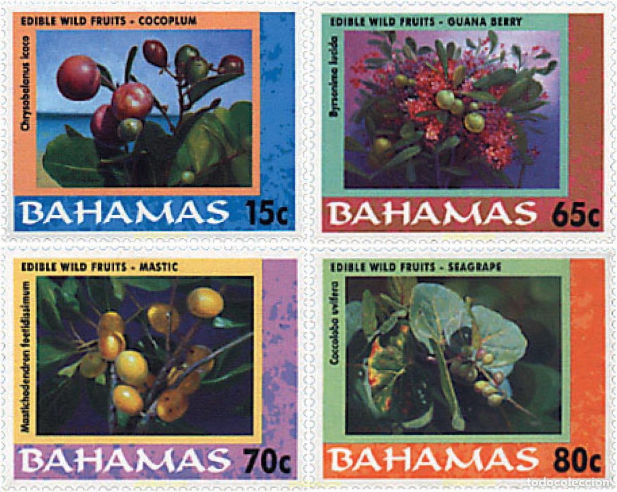 Sellos: 74226 MNH BAHAMAS 2001 FRUTOS SILVESTRES