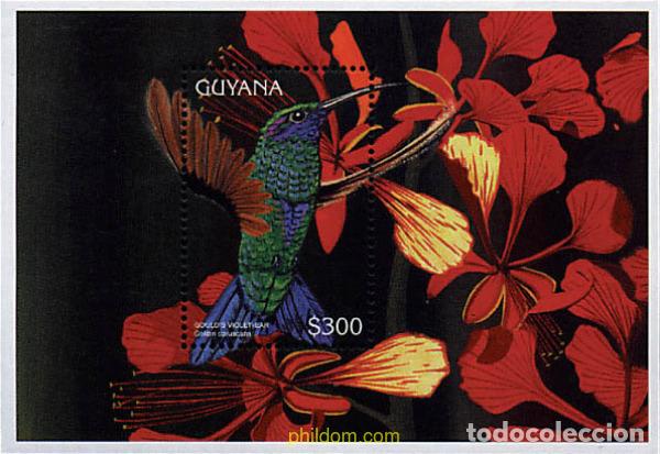 Sellos: 87815 MNH GUYANA 1996 COLIBRIS