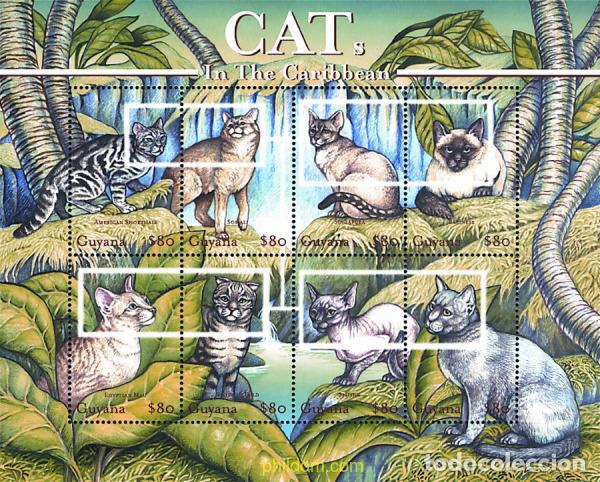 Sellos: 306102 MNH GUYANA 2001 GATOS
