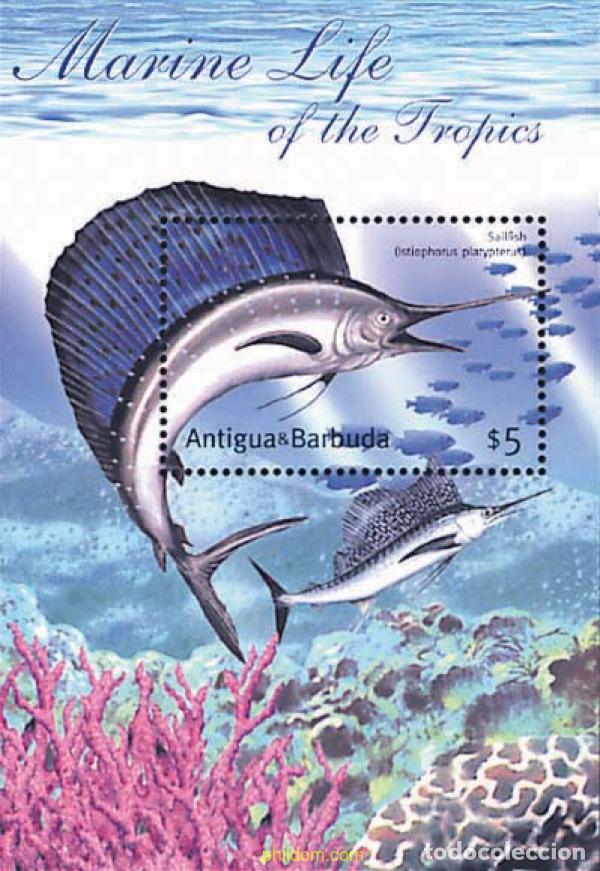 Sellos: 569711 MNH ANTIGUA Y BARBUDA 2001 FAUNA MARINA DE LOS TROPICOS