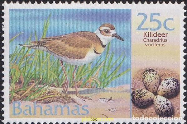 Sellos: 48 MNH BAHAMAS 2001 AVES