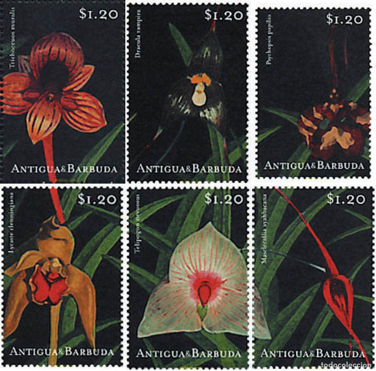 Sellos: 98078 MNH ANTIGUA Y BARBUDA 2001 ORQUIDEAS DEL CARIBE