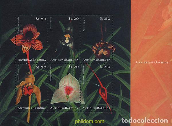 Sellos: 286642 MNH ANTIGUA Y BARBUDA 2001 ORQUIDEAS DEL CARIBE