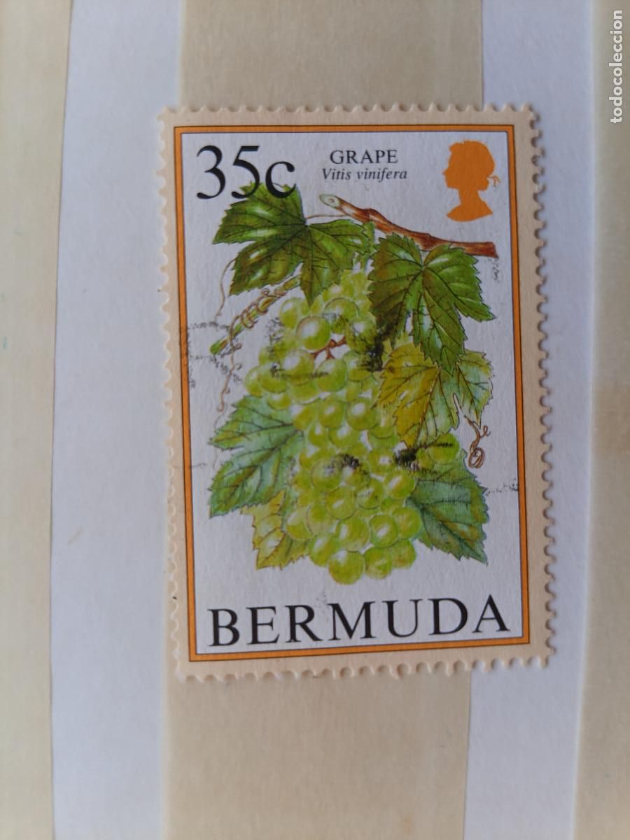 Sellos: Bermuda, Bermudas, sello usado