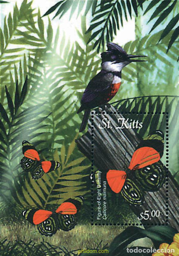 Sellos: 602308 MNH SAN KITTS 2001 FAUNA Y FLORA DEL CARIBE