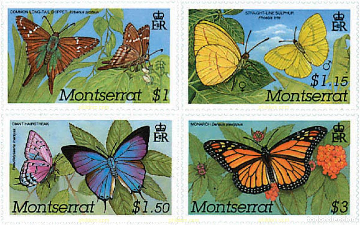 Sellos: 77569 MNH MONTSERRAT 2001 MARIPOSAS DEL CARIBE