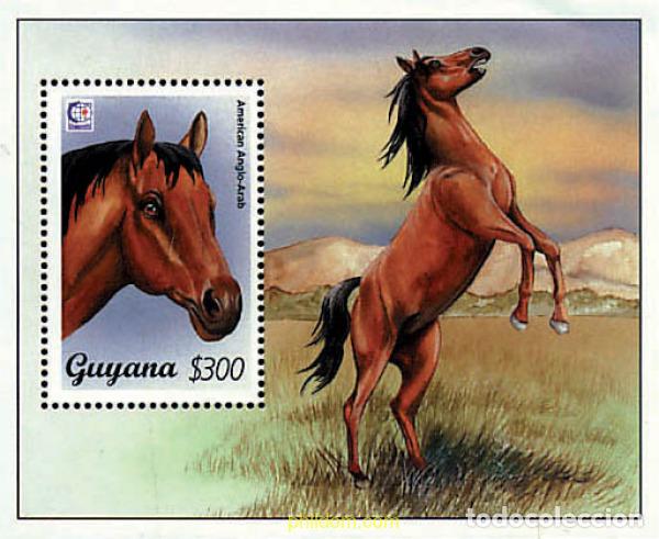 Sellos: 77794 MNH GUYANA 1995 SINGAPORE 95. EXPOSICION FILATELICA INTERNACIONAL