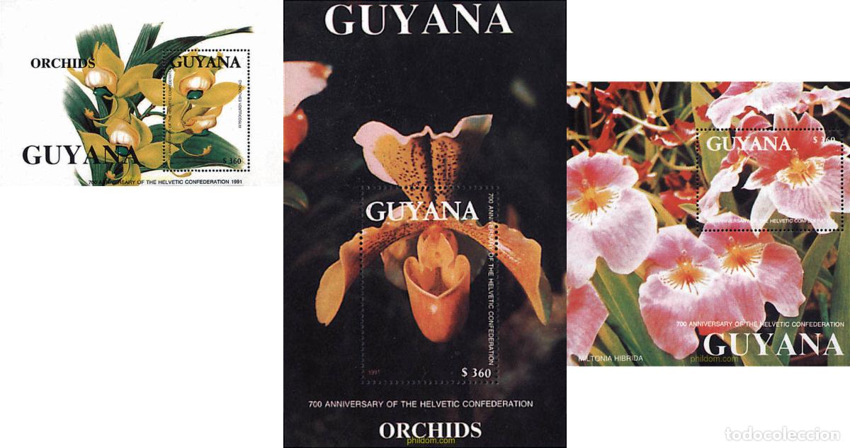 Sellos: 88312 MNH GUYANA 1991 700 ANIVERSARIO DE LA CONFEDERACION HELVETICA