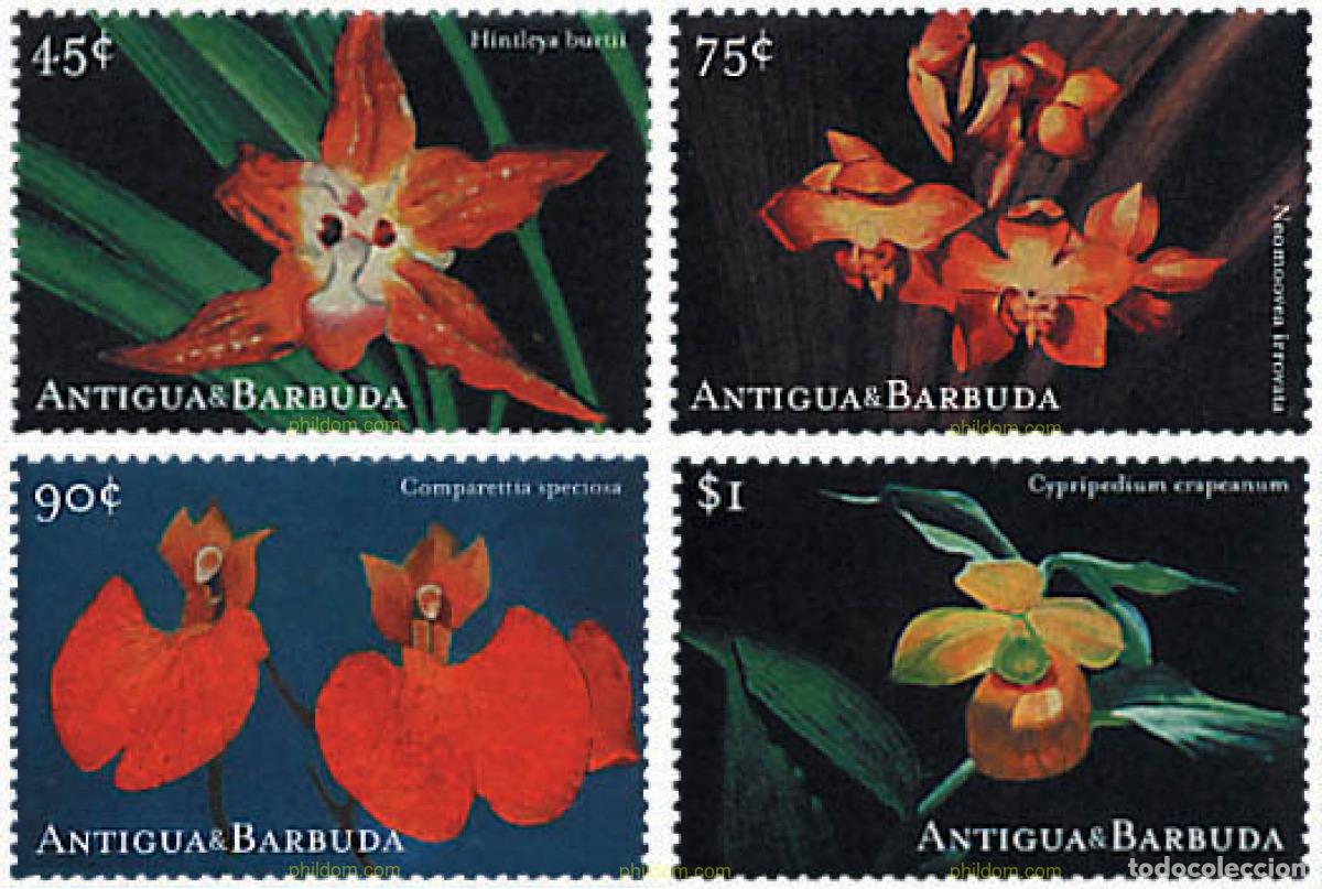 Sellos: 98077 MNH ANTIGUA Y BARBUDA 2001 ORQUIDEAS DEL CARIBE