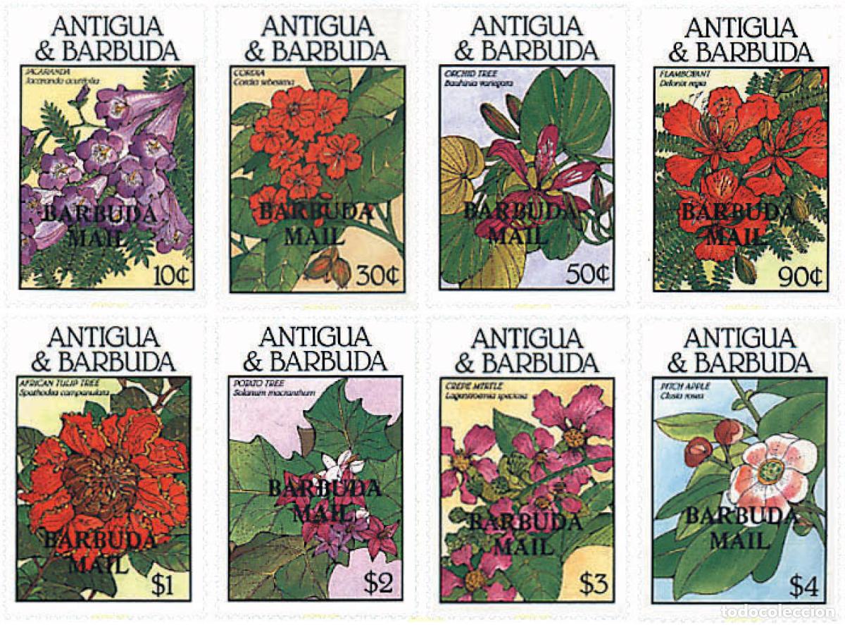 Sellos: 96736 MNH BARBUDA 1988 FLORES