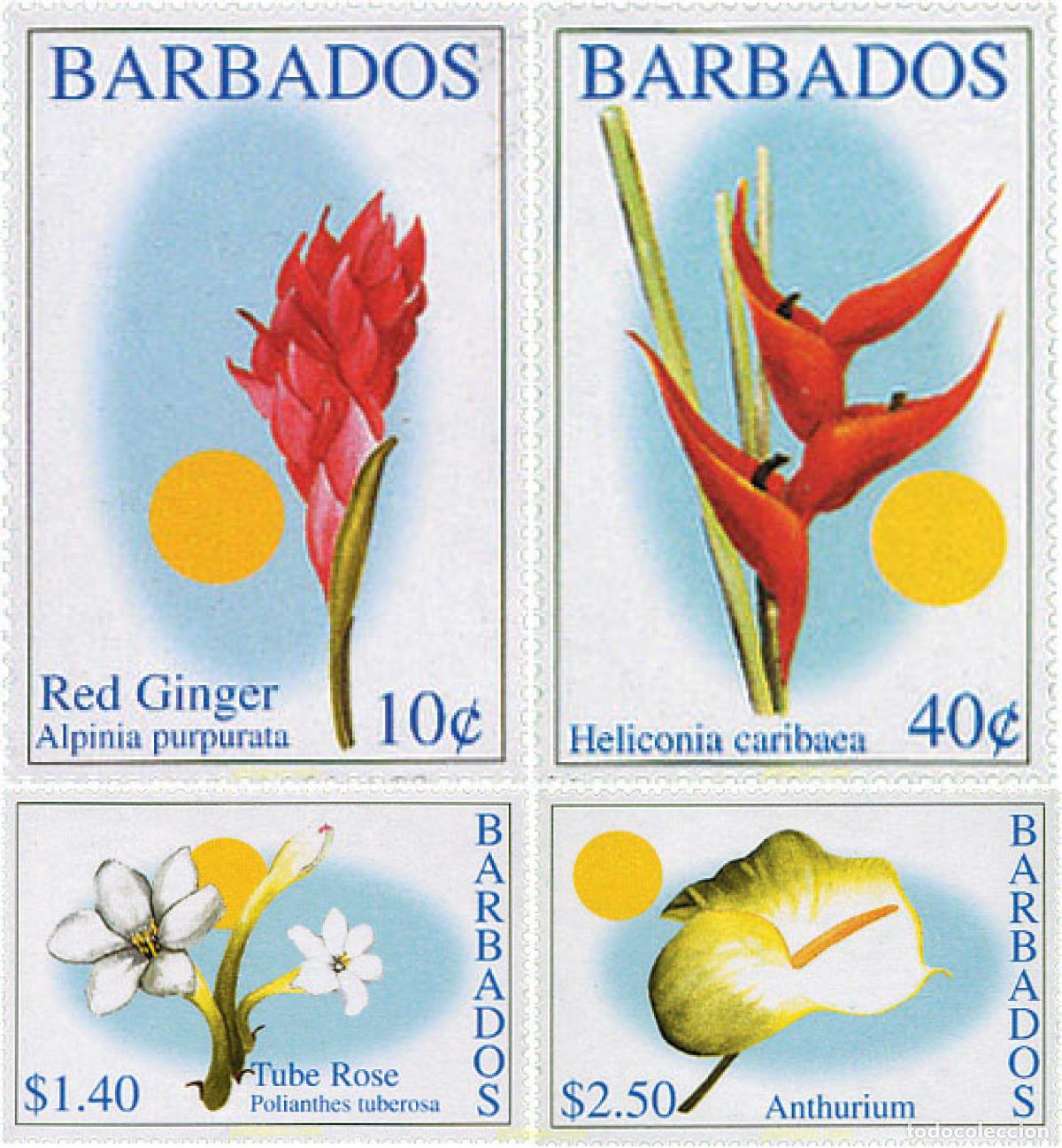 Sellos: 87602 MNH BARBADOS 2002 FLORES