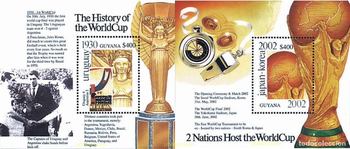 Sellos: 87423 MNH GUYANA 2002 COPA DEL MUNDO DE FUTBOL. COREA DEL SUR Y JAPON-02