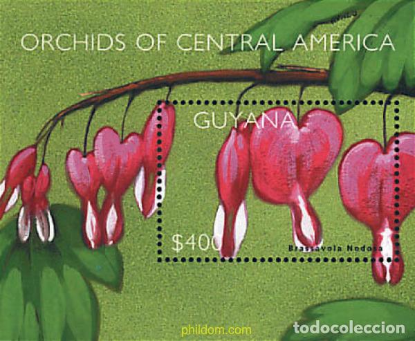 Sellos: 92628 MNH GUYANA 2002 ORQUIDEAS DE LA AMERICA CENTRAL
