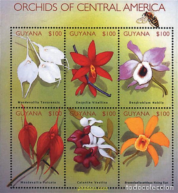 Stamps: 321507 MNH GUYANA 2002 ORQUIDEAS DE LA AMERICA CENTRAL