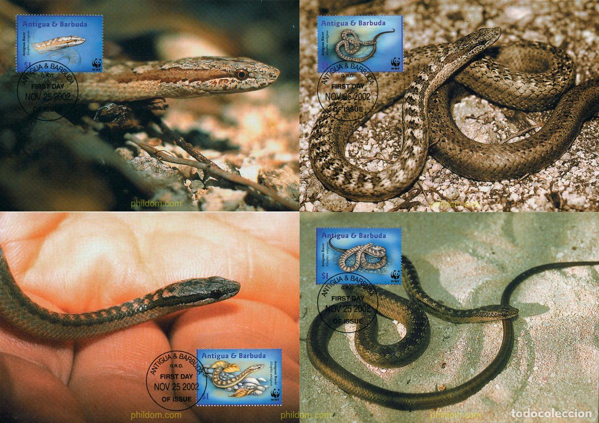 Sellos: 7267 MNH ANTIGUA Y BARBUDA 2002 WWF. ALSOPHIS ANTIGUAE