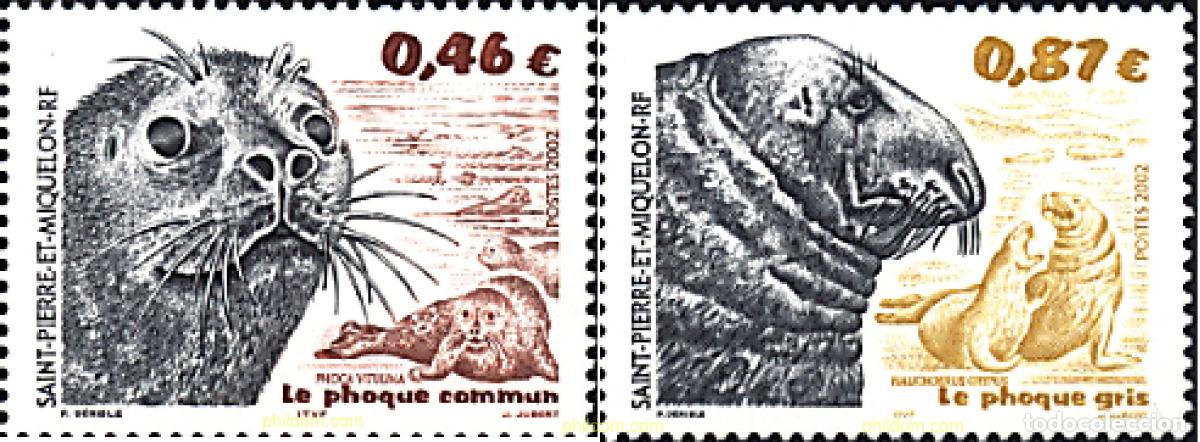 Sellos: 91704 MNH SAN PEDRO Y MIQUELON 2002 FOCAS