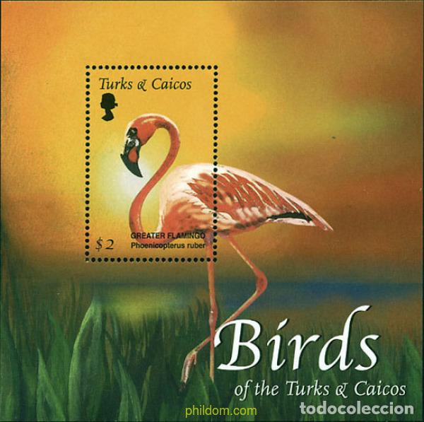 Sellos: 100431 MNH TURKS Y CAICOS 2002 AVES DE TURKS Y CAICOS