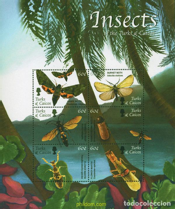 Sellos: 236725 MNH TURKS Y CAICOS 2002 INSECTOS
