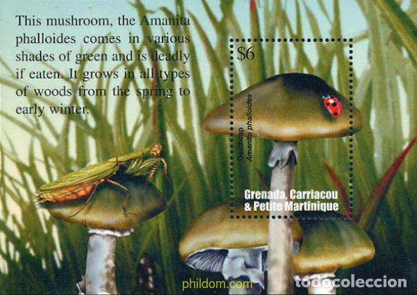 Sellos: 101189 MNH GRENADA CARRIACOU PETITE MARTINIQUE 2002 SETAS