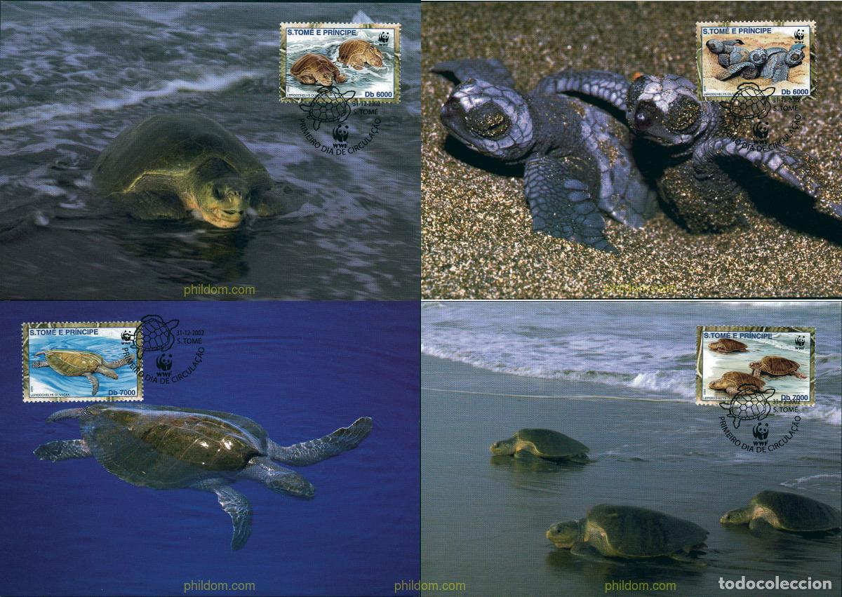 Sellos: 102443 MNH SANTO TOME Y PRINCIPE 2002 TORTUGA GOLFINA