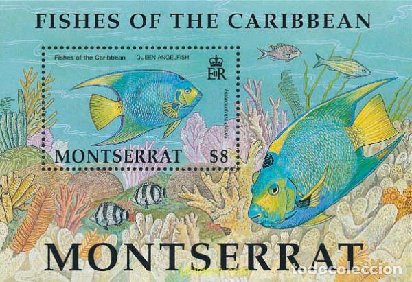 Sellos: 133316 MNH MONTSERRAT 2002 PECES DEL CARIBE