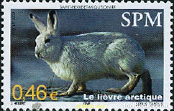 Sellos: 103072 MNH SAN PEDRO Y MIQUELON 2002 LIEBRE ARTICA