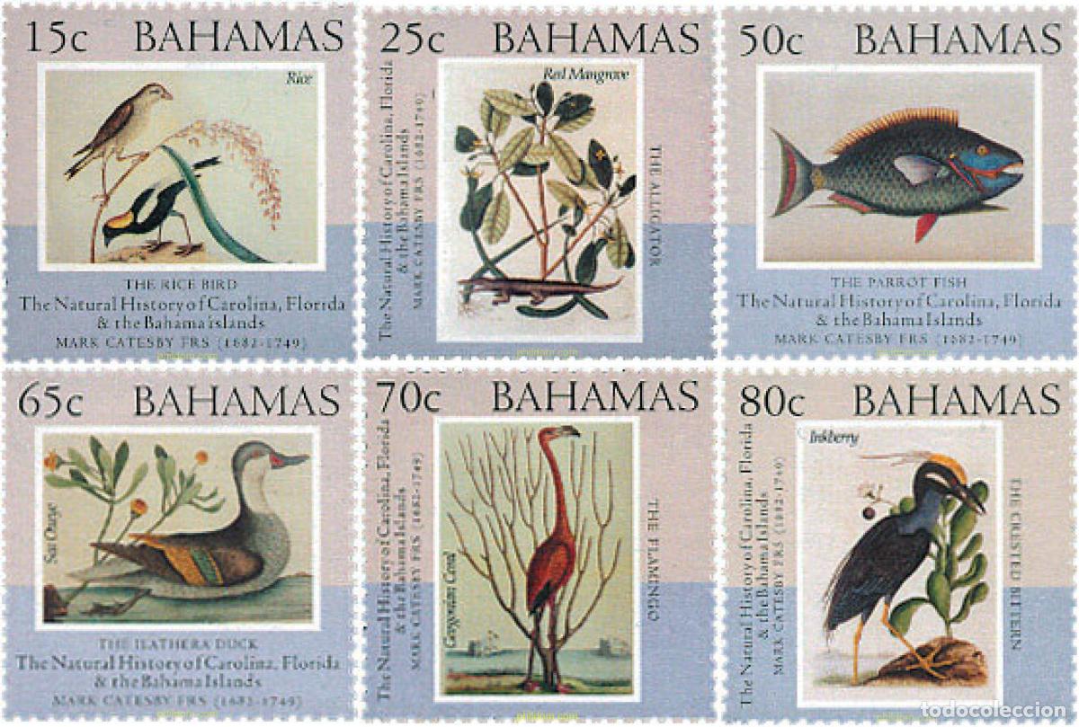 Sellos: 115036 MNH BAHAMAS 2002 FAUNA Y FLORA