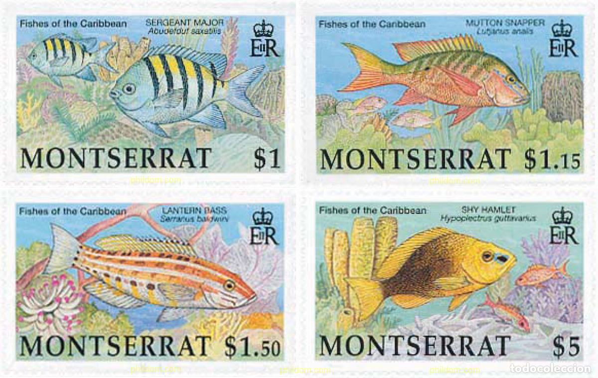 Sellos: 113536 MNH MONTSERRAT 2002 PECES DEL CARIBE