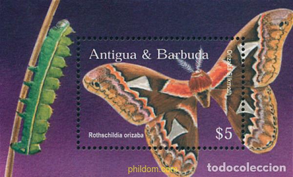Sellos: 114353 MNH ANTIGUA Y BARBUDA 2002 MARIPOSAS