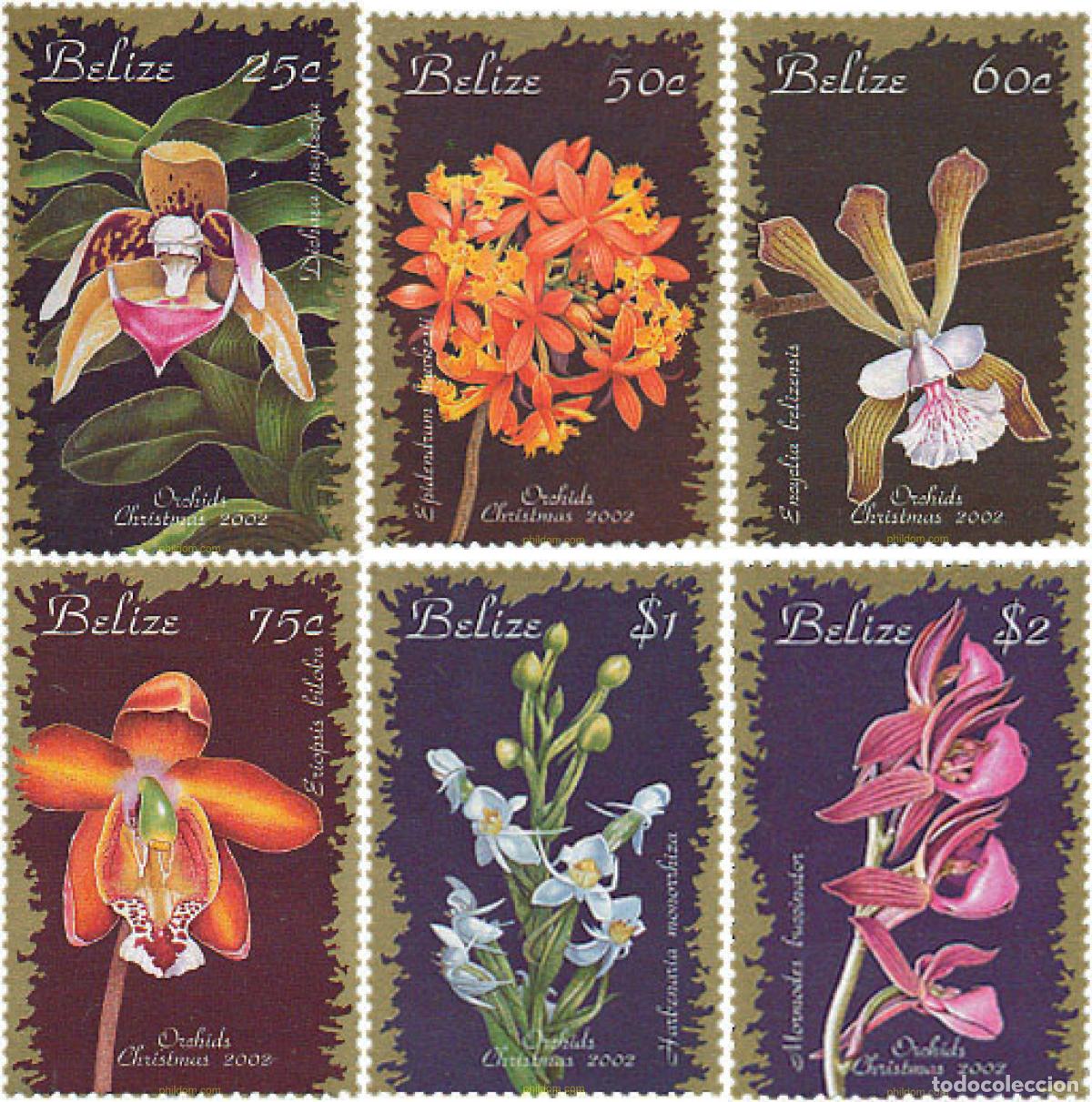 Sellos: 138280 MNH BELIZE 2002 NAVIDAD. ORQUIDEAS