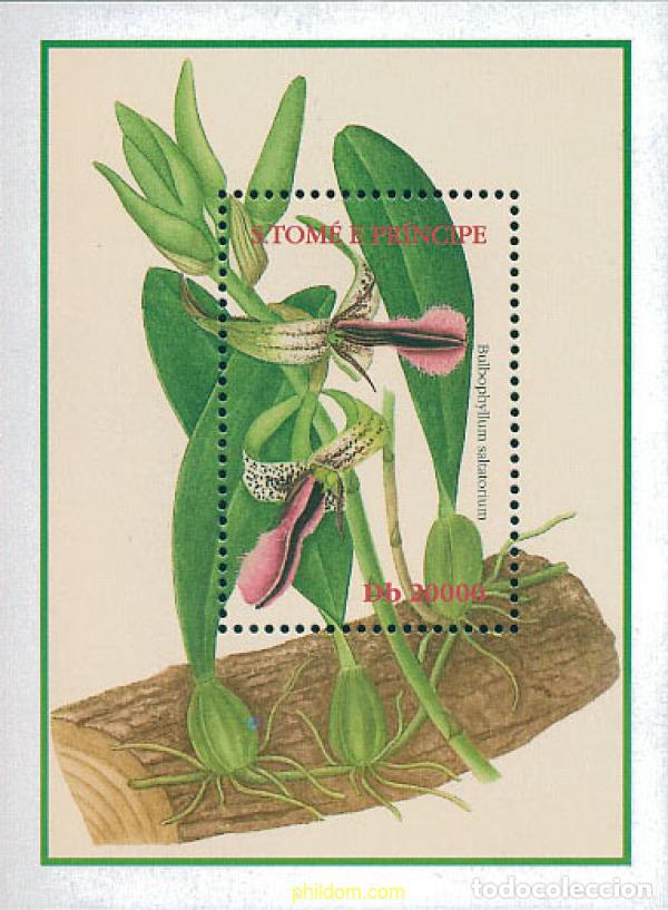 Sellos: 115280 MNH SANTO TOME Y PRINCIPE 2002 ORQUIDEAS