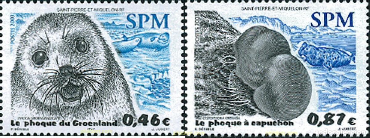 Sellos: 122434 MNH SAN PEDRO Y MIQUELON 2003 FOCAS