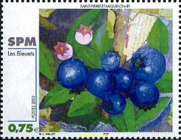 Sellos: 123649 MNH SAN PEDRO Y MIQUELON 2003 ARTE