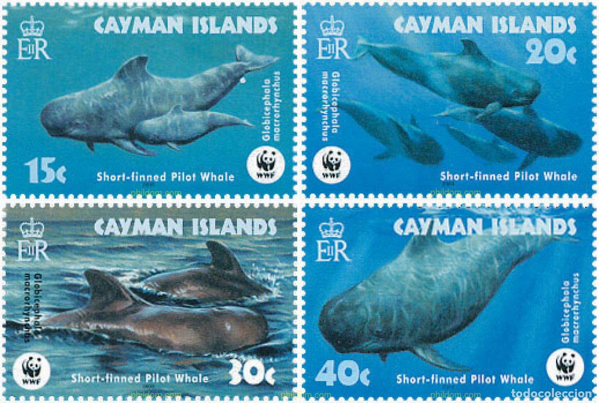 Francobolli: 127606 MNH CAIMAN Islas 2003 PROTECCION DE LA NATURALEZA