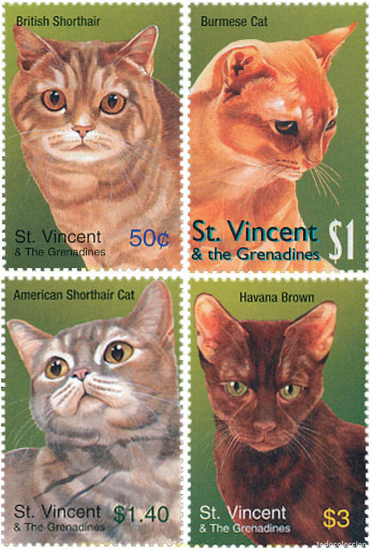 Sellos: 132676 MNH SAN VICENTE 2003 GATOS