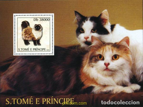 Sellos: 134949 MNH SANTO TOME Y PRINCIPE 2003 JAMBORE TAILANDIA 2002