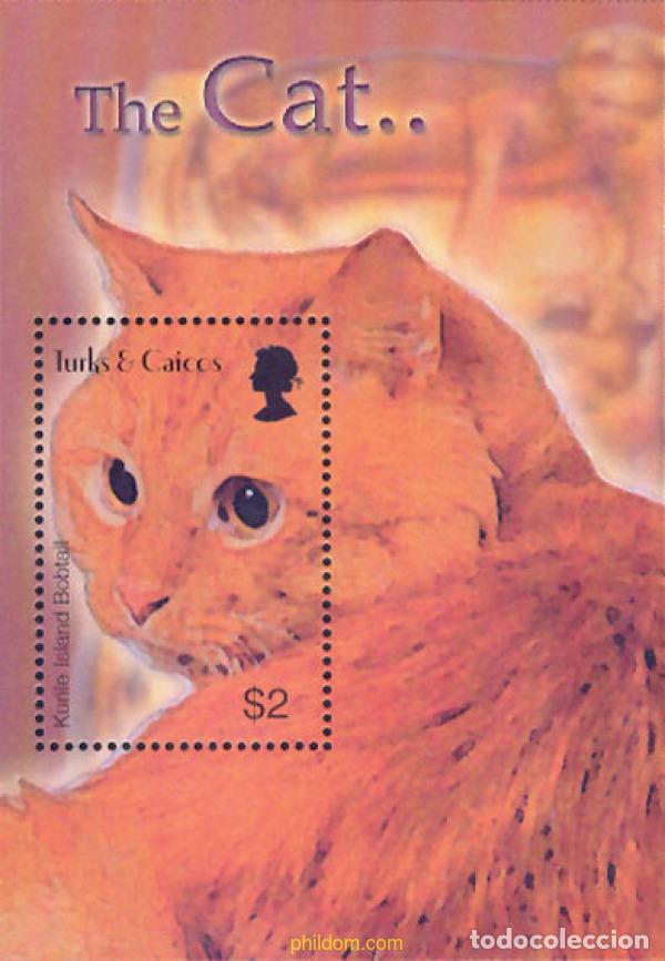 Sellos: 132492 MNH TURKS Y CAICOS 2003 EL GATO - Foto 1
