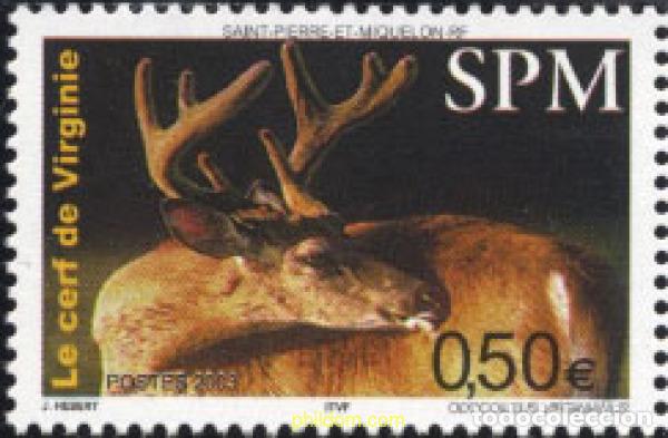 Francobolli: 135138 MNH SAN PEDRO Y MIQUELON 2003 FAUNA