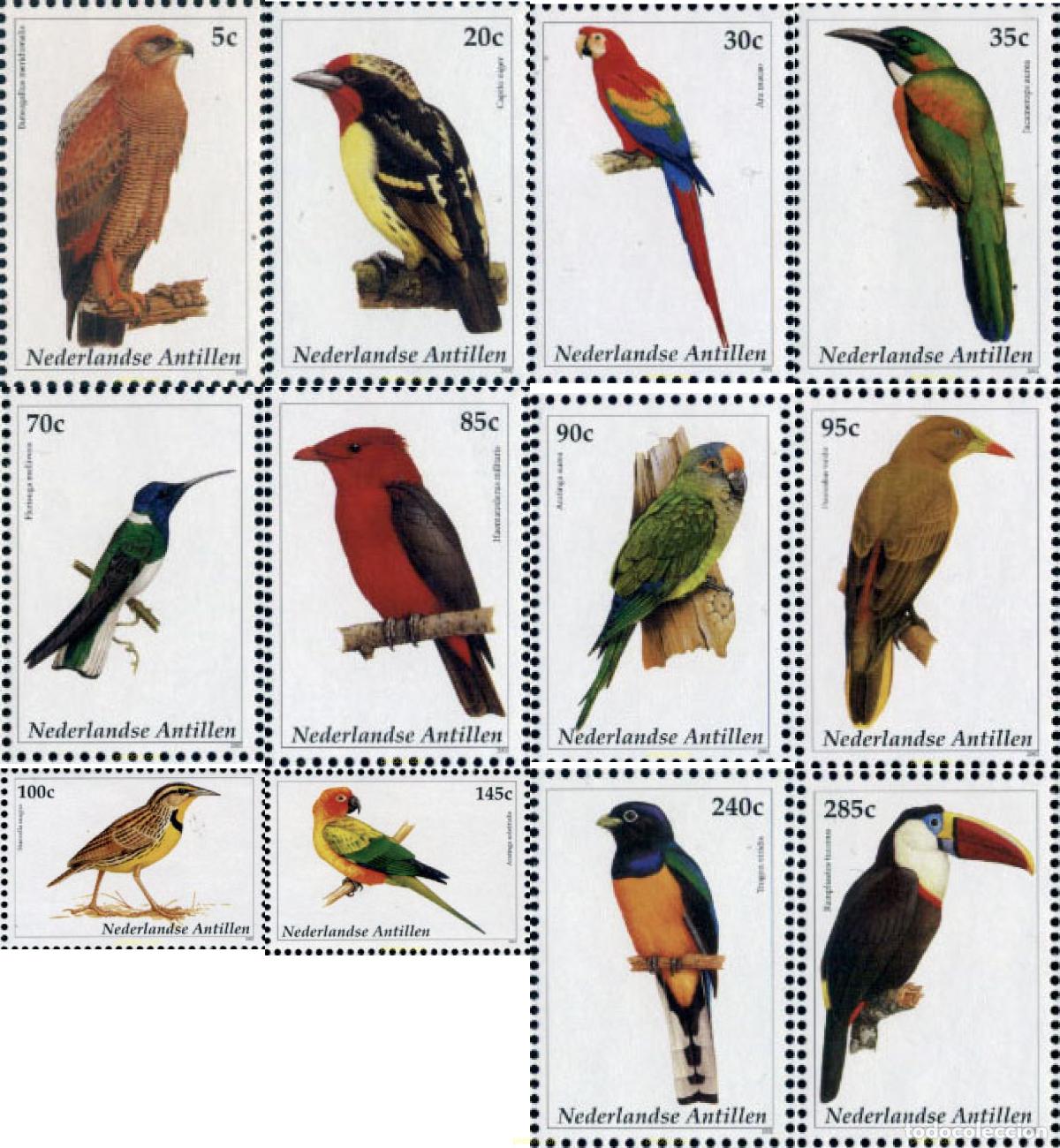 Sellos: 136501 MNH ANTILLAS HOLANDESAS 2002 AVES
