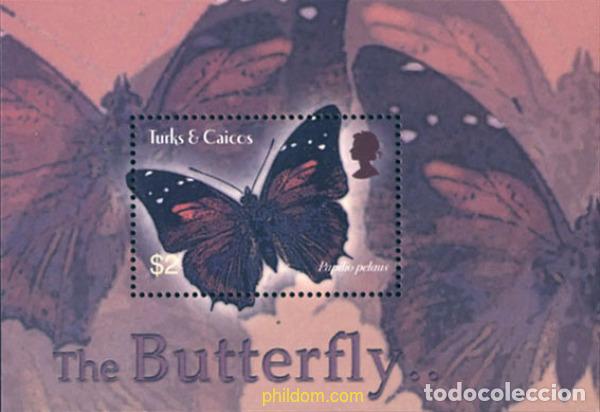 Briefmarken: 137816 MNH TURKS Y CAICOS 2003 MARIPOSAS